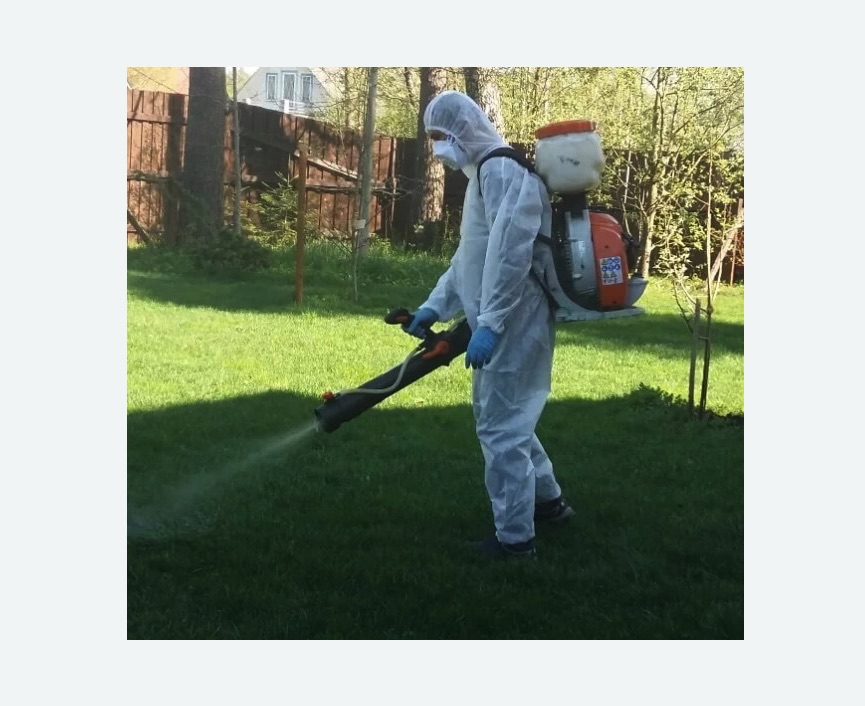 Обработка территории от клещей в Ивангороде