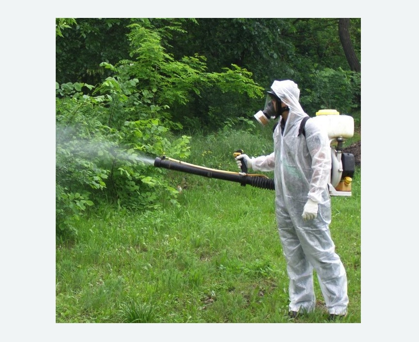 обработка территории от клещей в Ивангороде