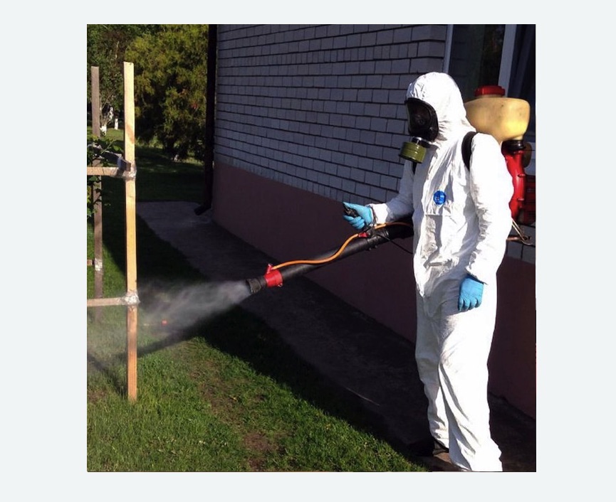 травля клещей на участке в Ивангороде