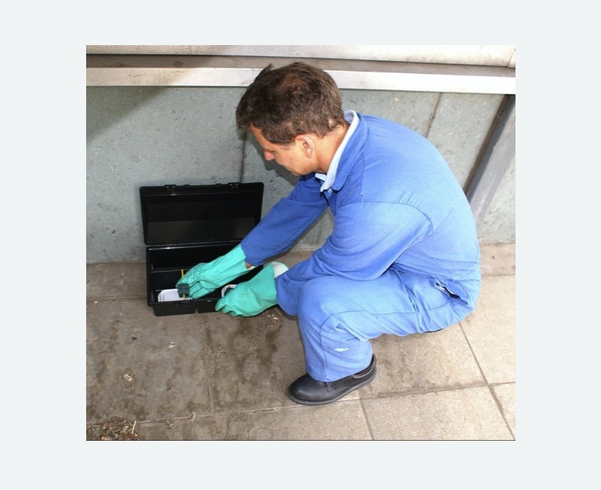 Дератизация помещения в Ивангороде Дератизация помещения