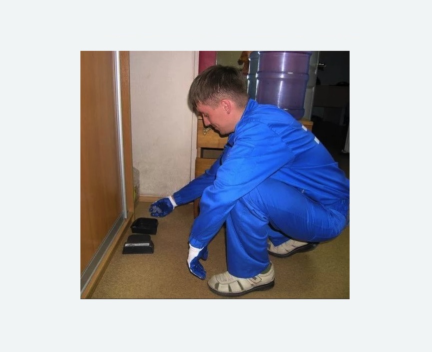 Дератизация крыс в Ивангороде