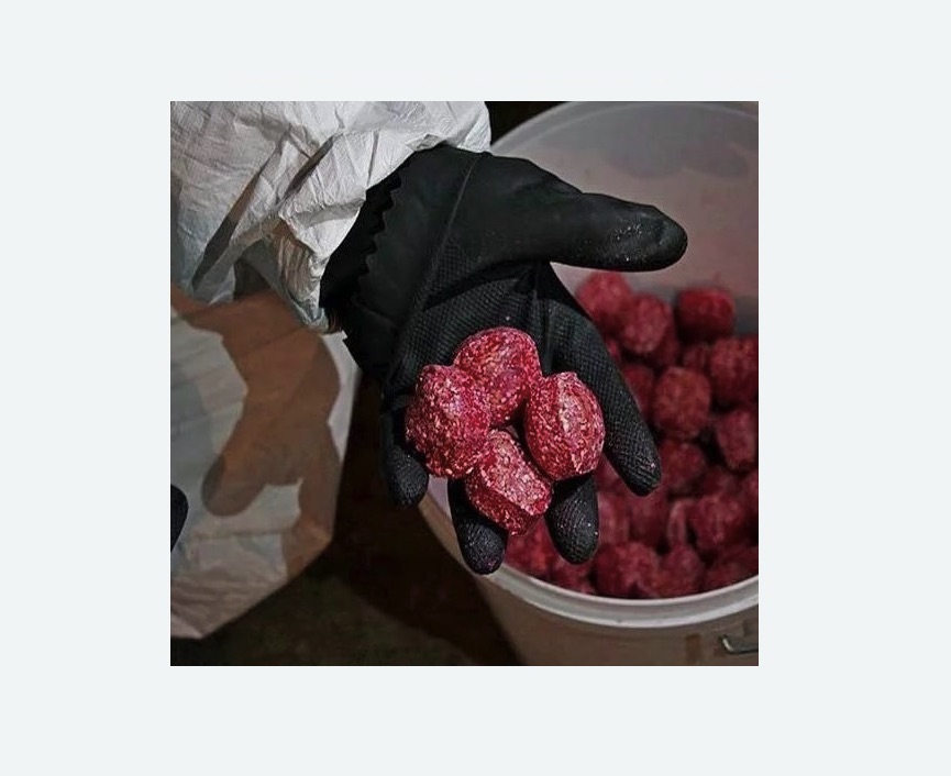 Обработка от крыс в Ивангороде