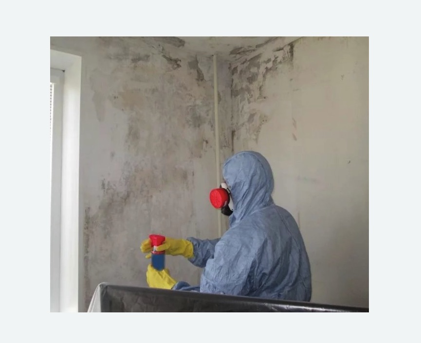 Удаление плесени в квартире в Ивангороде