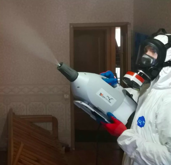 дезинсекция помещения в Ивангороде