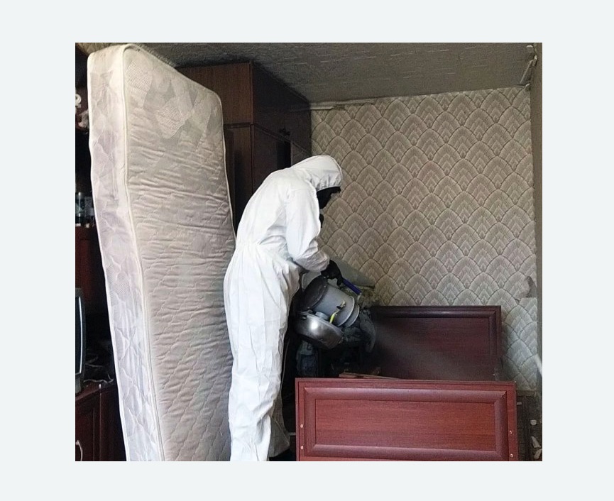 дезинфекция от клопов в Ивангороде