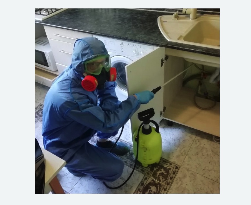 обработка от муравьев в квартире в Ивангороде