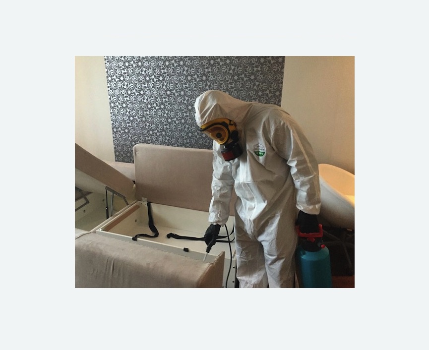 уничтожение клопов в квартире в Ивангороде