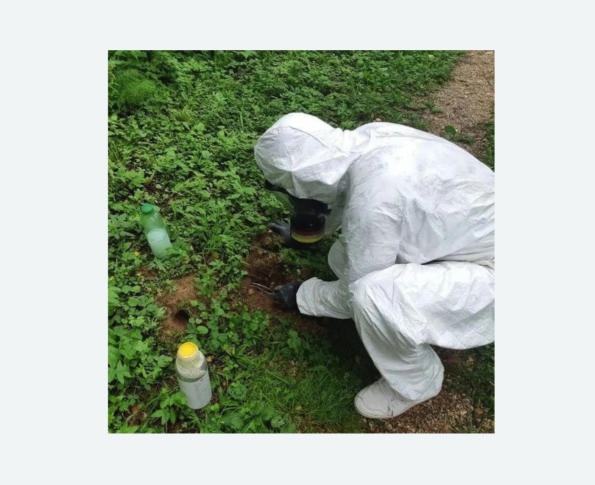 уничтожение кротов на участке в Ивангороде