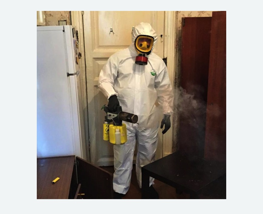 уничтожение муравьев в квартире в Ивангороде